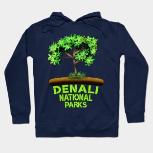 Denali National Park Hoodie